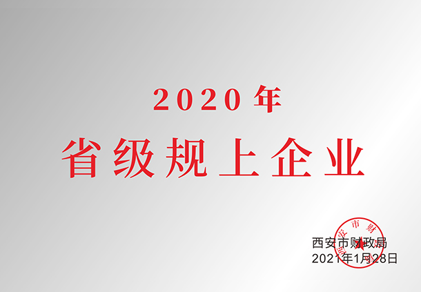 2020年省級規(guī)上企業(yè)